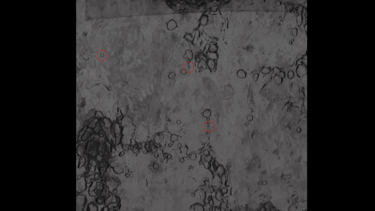 wave nucleate boiling